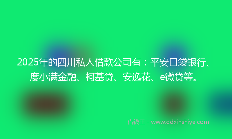 2025年的四川私人借款公司有：平安口袋银行、度小满金融、柯基贷、安逸花、e微贷等。