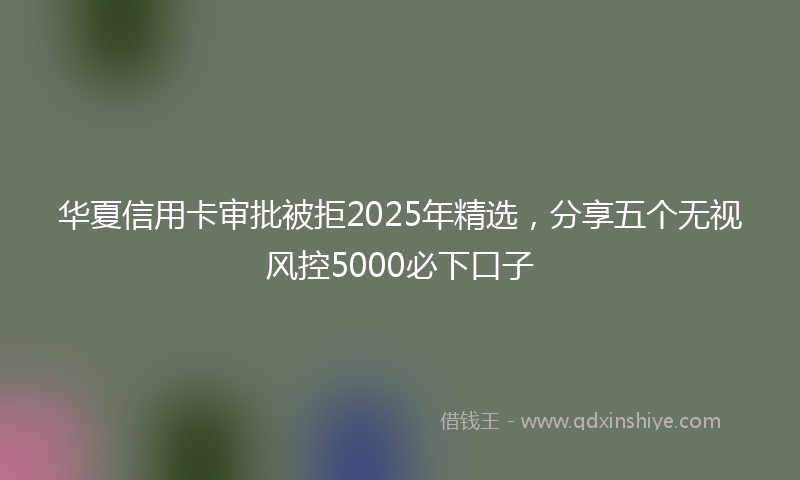 华夏信用卡审批被拒2025年精选，分享五个无视风控5000必下口子