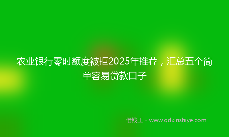 农业银行零时额度被拒2025年推荐，汇总五个简单容易贷款口子