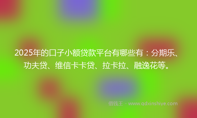 2025年的口子小额贷款平台有哪些有：分期乐、功夫贷、维信卡卡贷、拉卡拉、融逸花等。