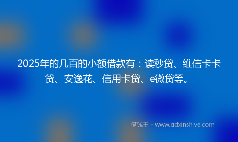 2025年的几百的小额借款有：读秒贷、维信卡卡贷、安逸花、信用卡贷、e微贷等。