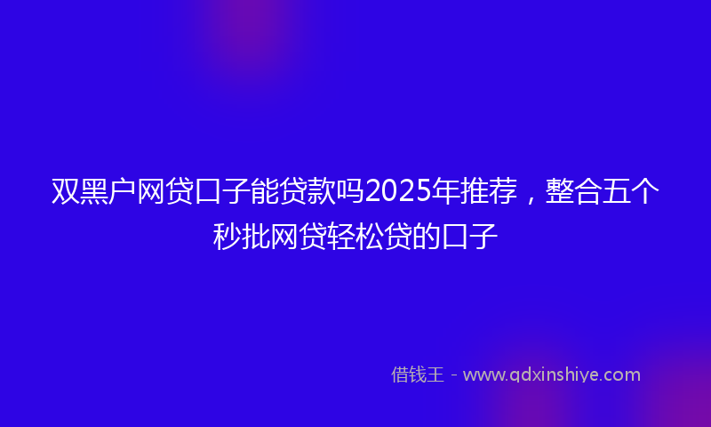 双黑户网贷口子能贷款吗2025年推荐，整合五个秒批网贷轻松贷的口子