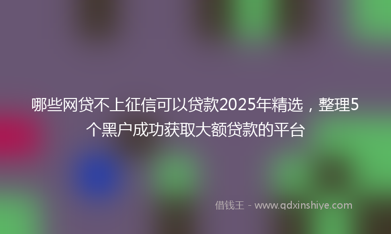 哪些网贷不上征信可以贷款2025年精选，整理5个黑户成功获取大额贷款的平台