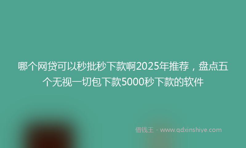 哪个网贷可以秒批秒下款啊2025年推荐，盘点五个无视一切包下款5000秒下款的软件