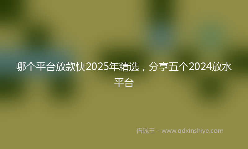哪个平台放款快2025年精选，分享五个2024放水平台