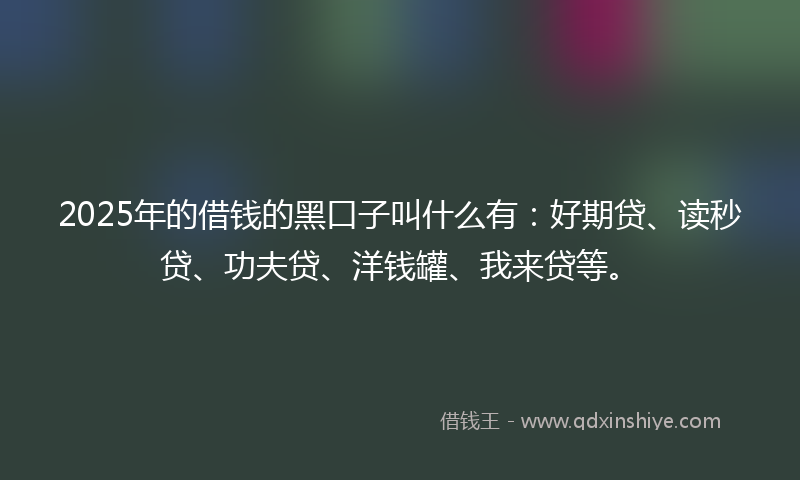 2025年的借钱的黑口子叫什么有：好期贷、读秒贷、功夫贷、洋钱罐、我来贷等。