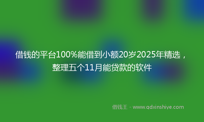 借钱的平台100%能借到小额20岁2025年精选，整理五个11月能贷款的软件