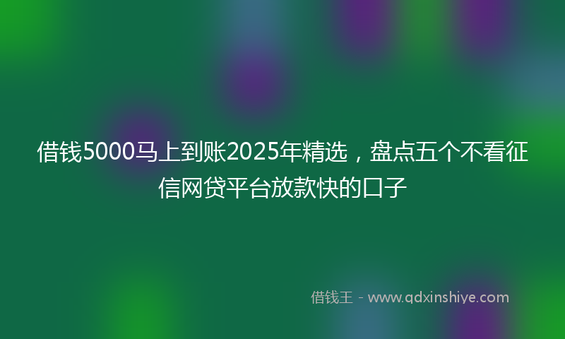 借钱5000马上到账2025年精选，盘点五个不看征信网贷平台放款快的口子