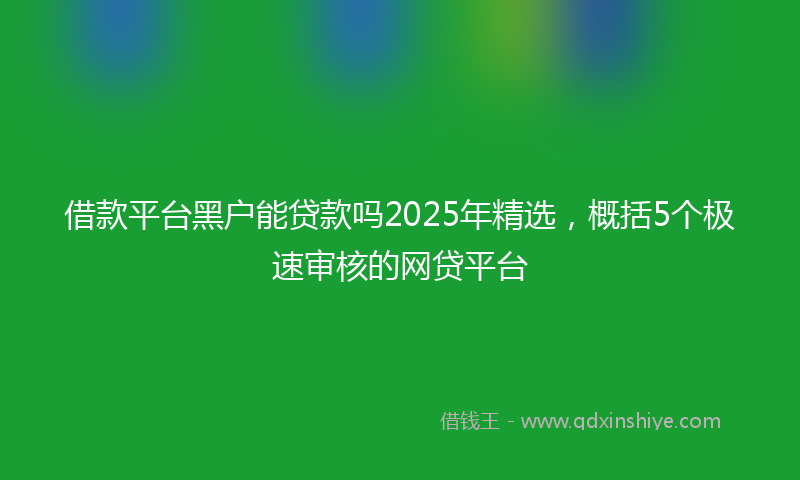 借款平台黑户能贷款吗2025年精选，概括5个极速审核的网贷平台