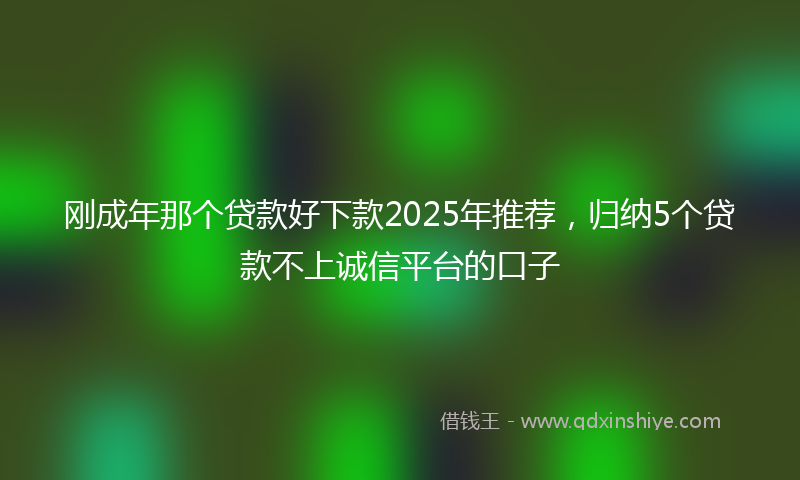 刚成年那个贷款好下款2025年推荐，归纳5个贷款不上诚信平台的口子