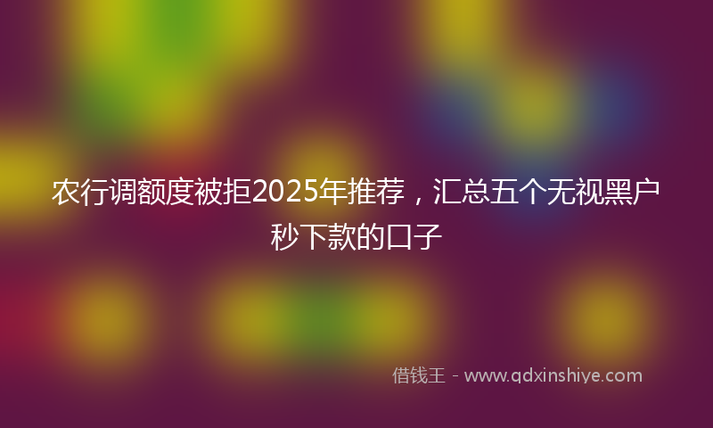 农行调额度被拒2025年推荐，汇总五个无视黑户秒下款的口子