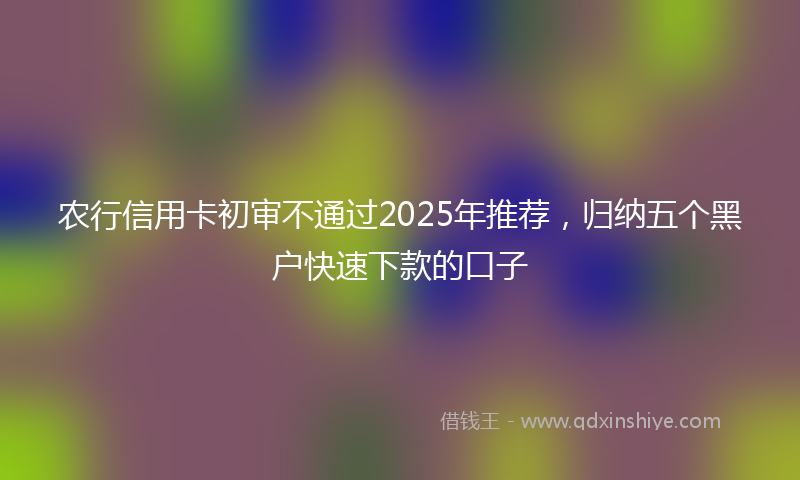农行信用卡初审不通过2025年推荐，归纳五个黑户快速下款的口子