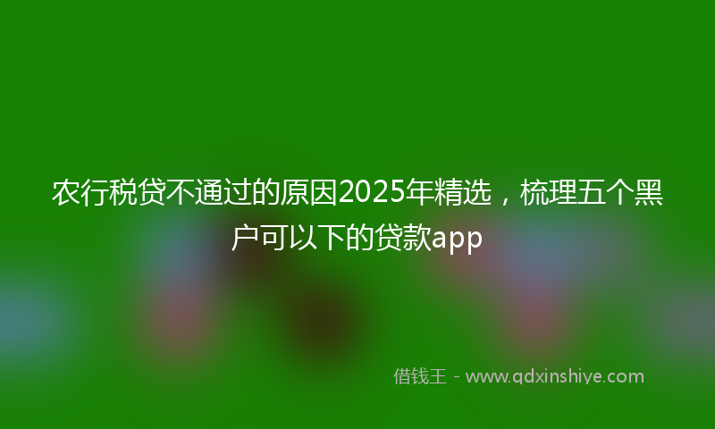 农行税贷不通过的原因2025年精选，梳理五个黑户可以下的贷款app