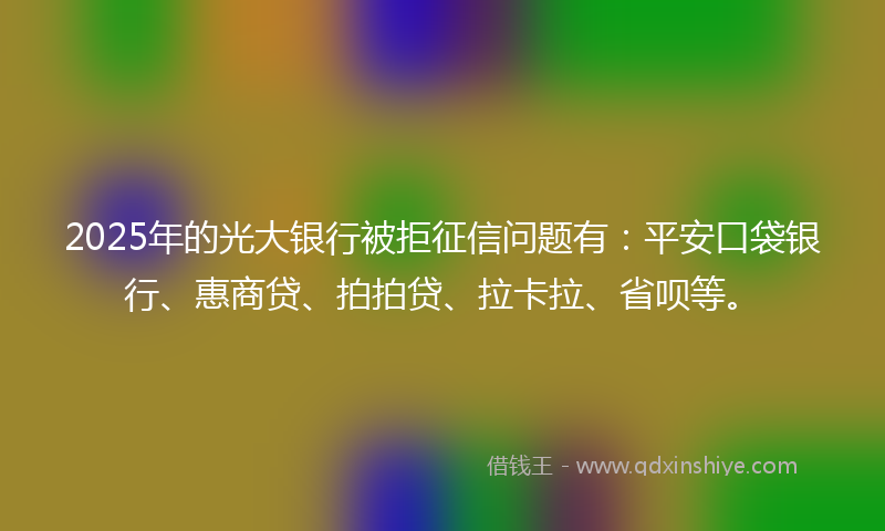 2025年的光大银行被拒征信问题有：平安口袋银行、惠商贷、拍拍贷、拉卡拉、省呗等。