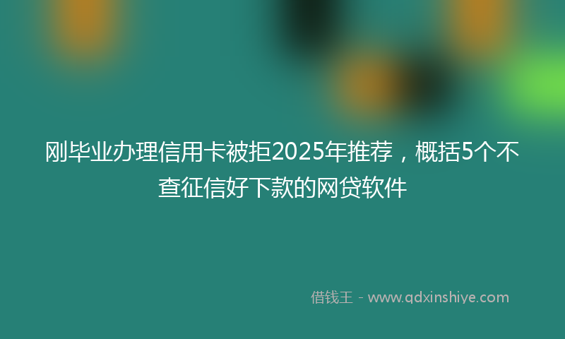 刚毕业办理信用卡被拒2025年推荐，概括5个不查征信好下款的网贷软件