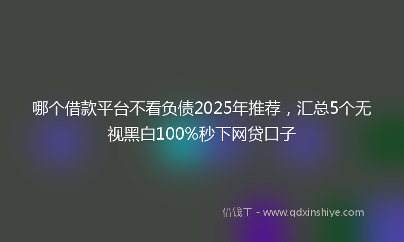 哪个借款平台不看负债2025年推荐，汇总5个无视黑白100%秒下网贷口子