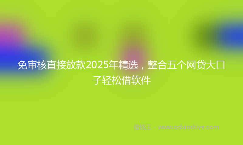免审核直接放款2025年精选，整合五个网贷大口子轻松借软件