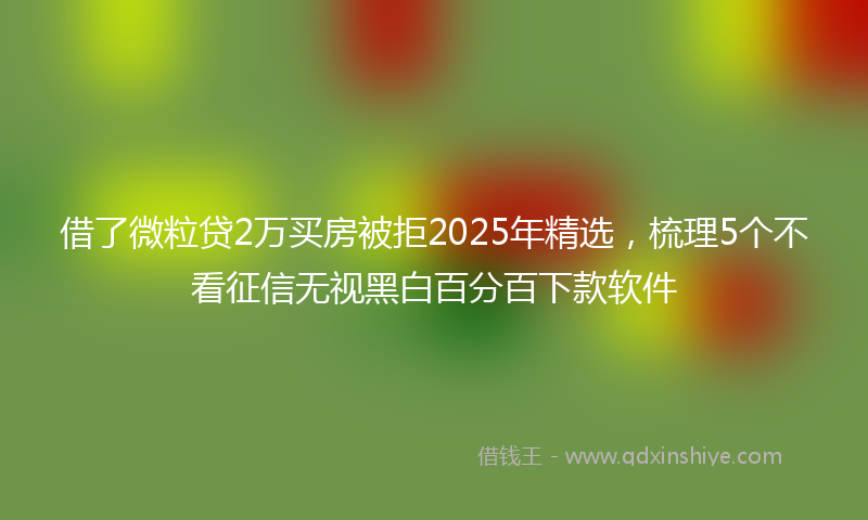 借了微粒贷2万买房被拒2025年精选，梳理5个不看征信无视黑白百分百下款软件