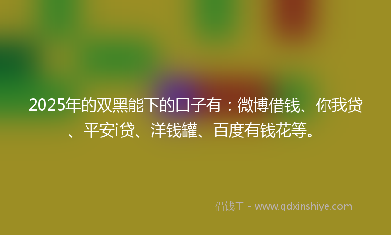 2025年的双黑能下的口子有：微博借钱、你我贷、平安i贷、洋钱罐、百度有钱花等。