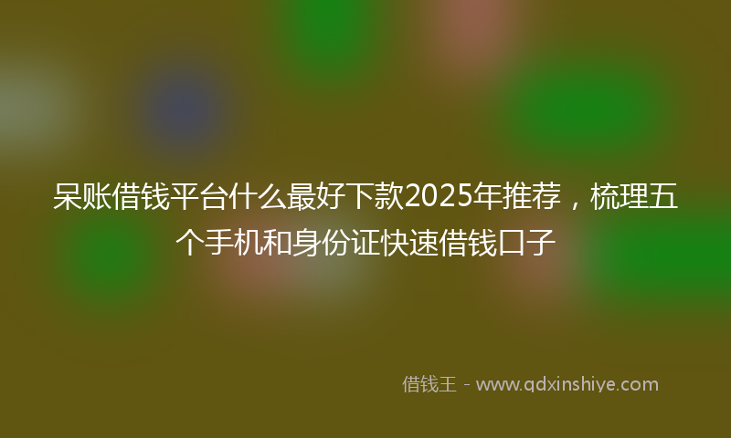 呆账借钱平台什么最好下款2025年推荐，梳理五个手机和身份证快速借钱口子