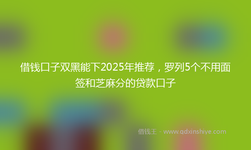 借钱口子双黑能下2025年推荐，罗列5个不用面签和芝麻分的贷款口子