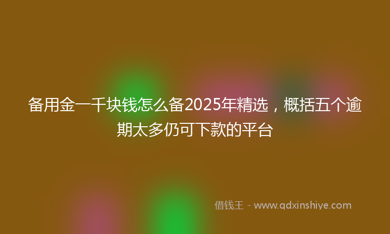 备用金一千块钱怎么备2025年精选，概括五个逾期太多仍可下款的平台