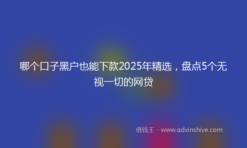 哪个口子黑户也能下款2025年精选，盘点5个无视一切的网贷