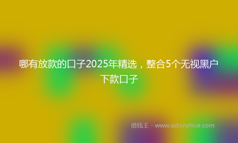 哪有放款的口子2025年精选，整合5个无视黑户下款口子