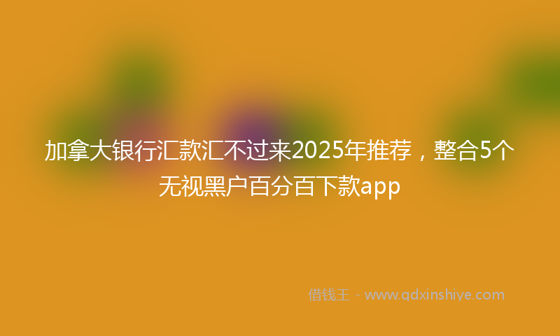 加拿大银行汇款汇不过来2025年推荐，整合5个无视黑户百分百下款app