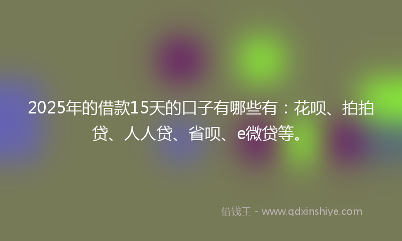2025年的借款15天的口子有哪些有：花呗、拍拍贷、人人贷、省呗、e微贷等。