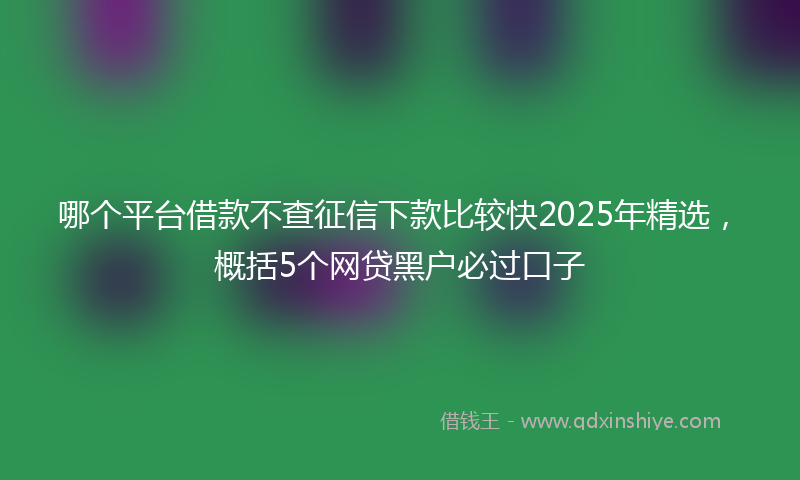 哪个平台借款不查征信下款比较快2025年精选，概括5个网贷黑户必过口子