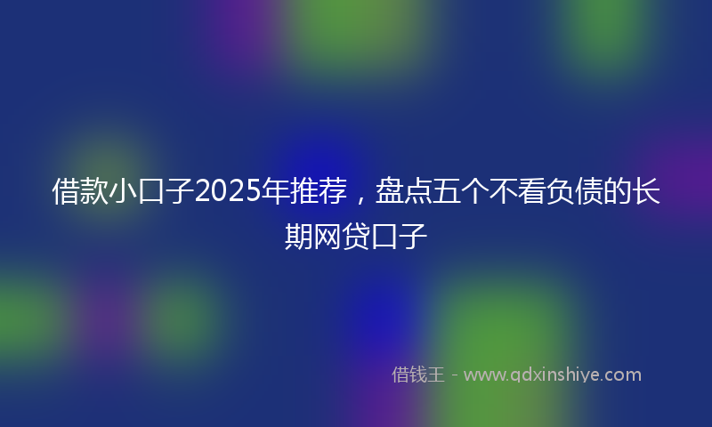 借款小口子2025年推荐，盘点五个不看负债的长期网贷口子