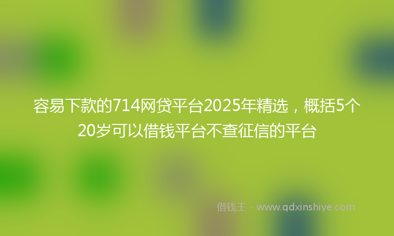 容易下款的714网贷平台2025年精选，概括5个20岁可以借钱平台不查征信的平台