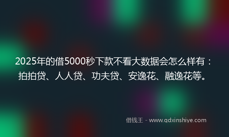 2025年的借5000秒下款不看大数据会怎么样有：拍拍贷、人人贷、功夫贷、安逸花、融逸花等。