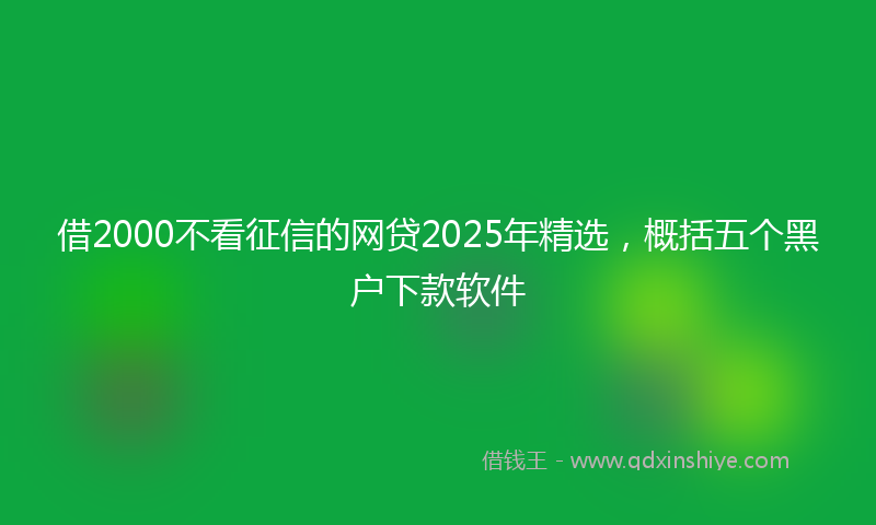 借2000不看征信的网贷2025年精选，概括五个黑户下款软件