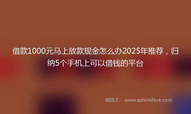 借款1000元马上放款现金怎么办2025年推荐，归纳5个手机上可以借钱的平台