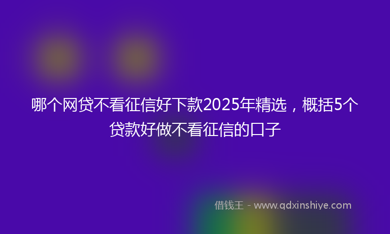 哪个网贷不看征信好下款2025年精选，概括5个贷款好做不看征信的口子