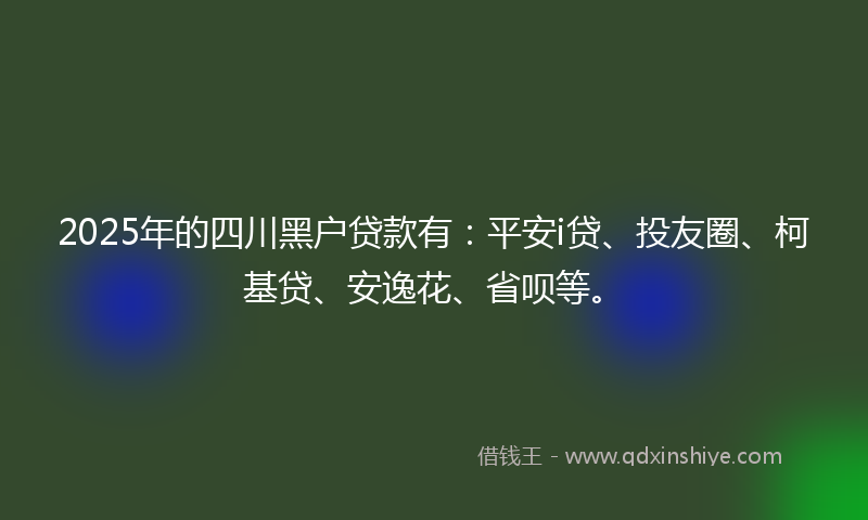 2025年的四川黑户贷款有：平安i贷、投友圈、柯基贷、安逸花、省呗等。