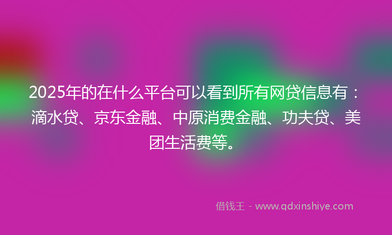 2025年的在什么平台可以看到所有网贷信息有：滴水贷、京东金融、中原消费金融、功夫贷、美团生活费等。