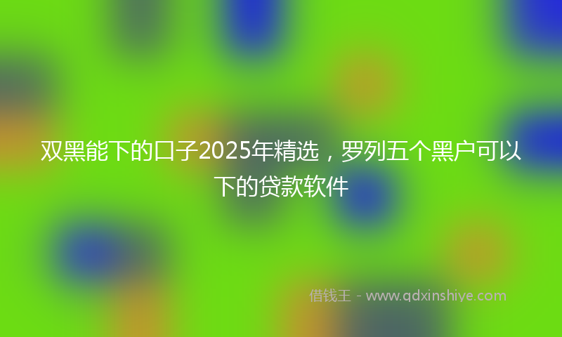 双黑能下的口子2025年精选，罗列五个黑户可以下的贷款软件
