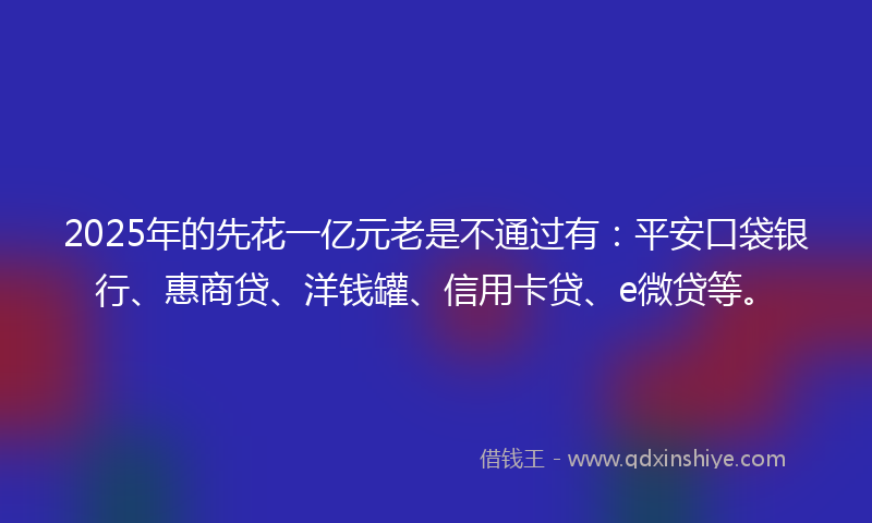 2025年的先花一亿元老是不通过有：平安口袋银行、惠商贷、洋钱罐、信用卡贷、e微贷等。