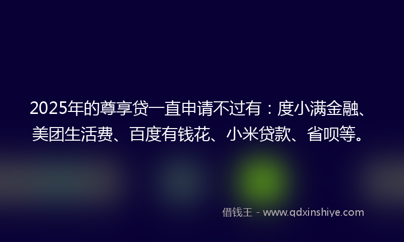 2025年的尊享贷一直申请不过有：度小满金融、美团生活费、百度有钱花、小米贷款、省呗等。