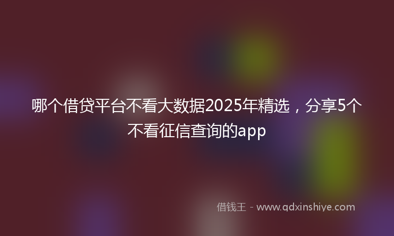 哪个借贷平台不看大数据2025年精选，分享5个不看征信查询的app