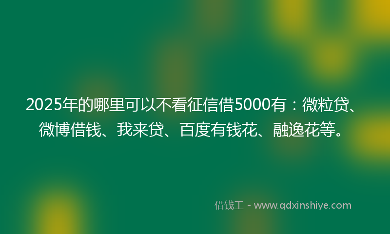 2025年的哪里可以不看征信借5000有：微粒贷、微博借钱、我来贷、百度有钱花、融逸花等。