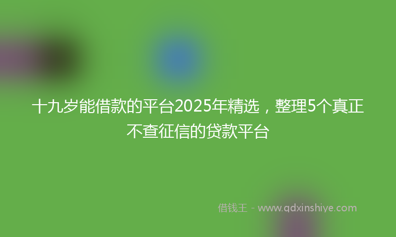 十九岁能借款的平台2025年精选，整理5个真正不查征信的贷款平台