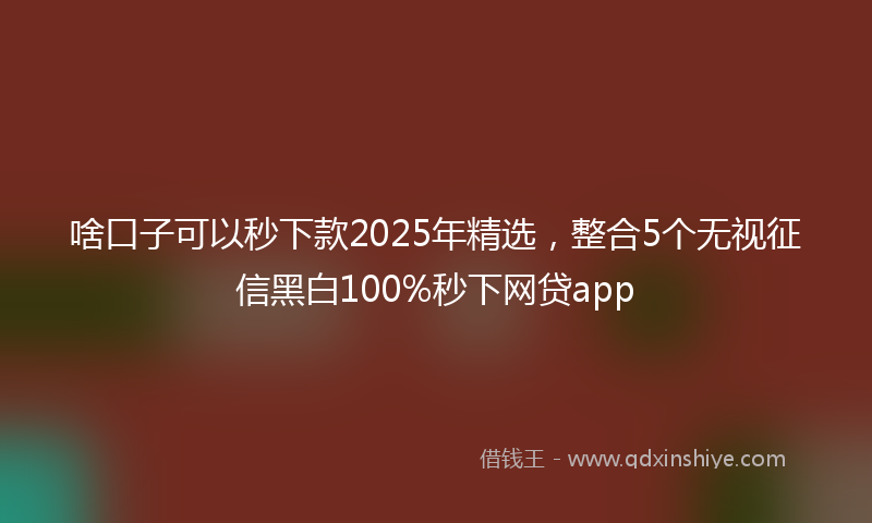 啥口子可以秒下款2025年精选，整合5个无视征信黑白100%秒下网贷app