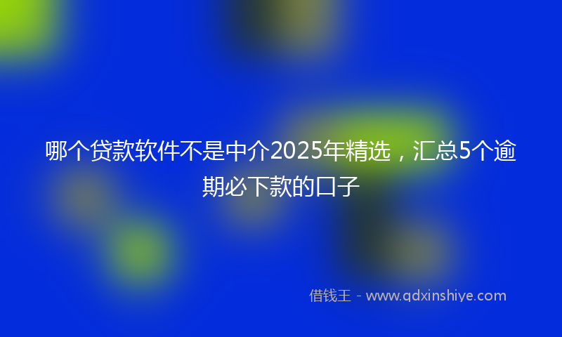 哪个贷款软件不是中介2025年精选，汇总5个逾期必下款的口子