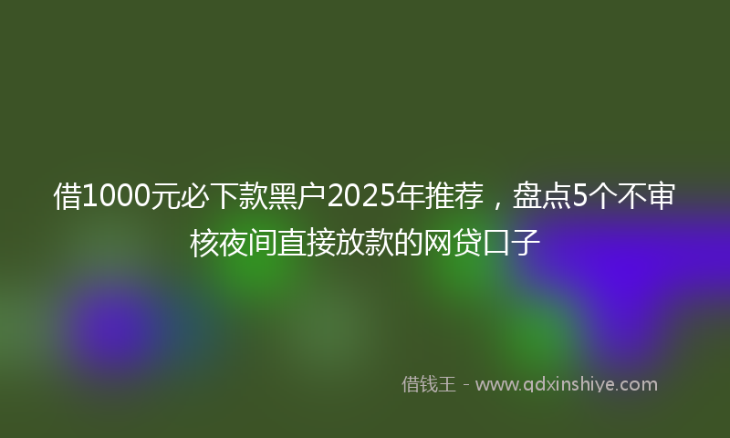 借1000元必下款黑户2025年推荐，盘点5个不审核夜间直接放款的网贷口子