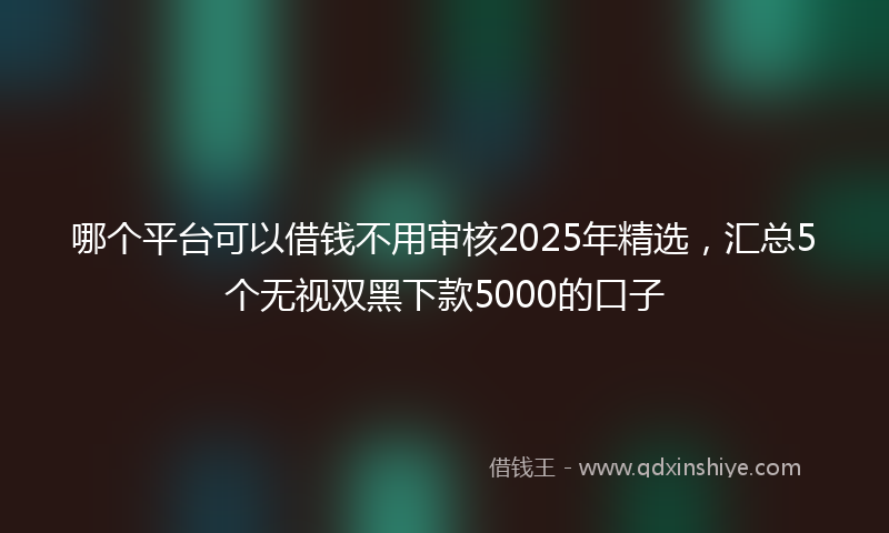 哪个平台可以借钱不用审核2025年精选，汇总5个无视双黑下款5000的口子