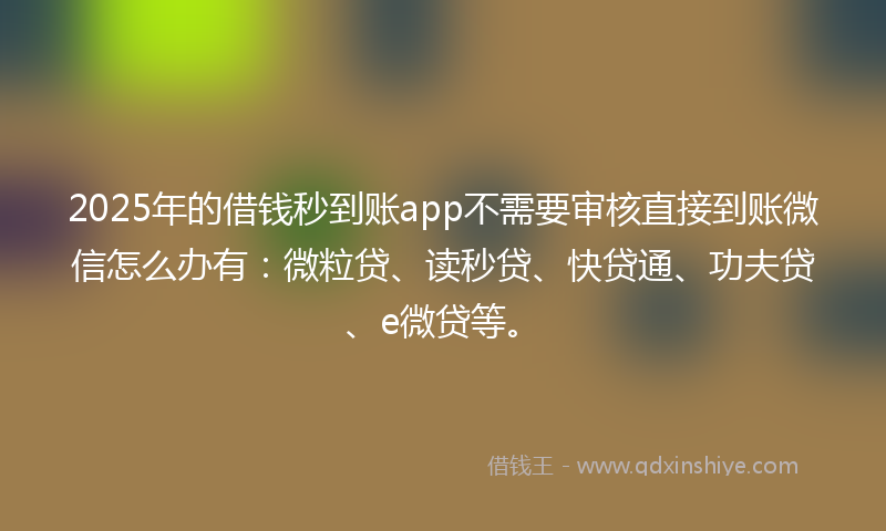 2025年的借钱秒到账app不需要审核直接到账微信怎么办有：微粒贷、读秒贷、快贷通、功夫贷、e微贷等。